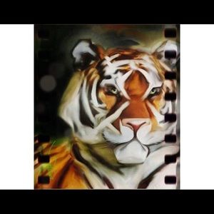 Support defending the endangered movement